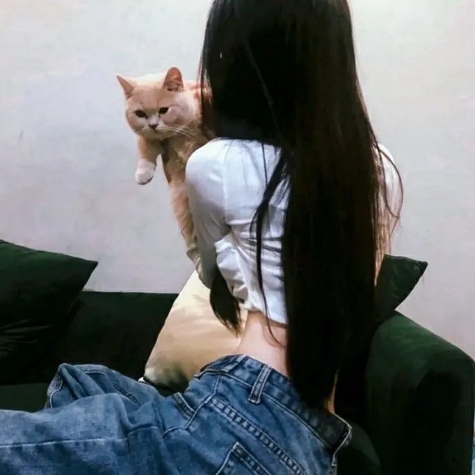 布霍费尔：仁慈的特工